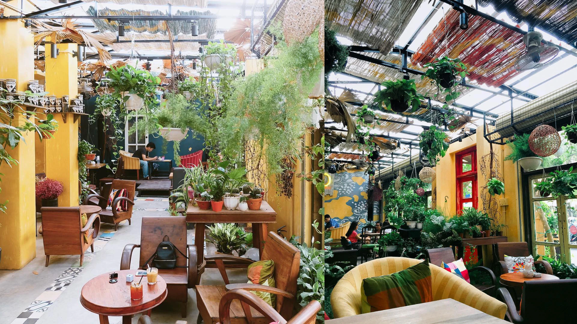 thiết kế quán cà phê cây xanh
