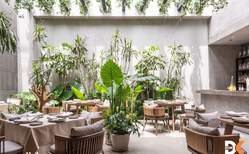 [Chi Phí] Thiết Kế Quán Cafe Sân Vườn Giá Rẻ