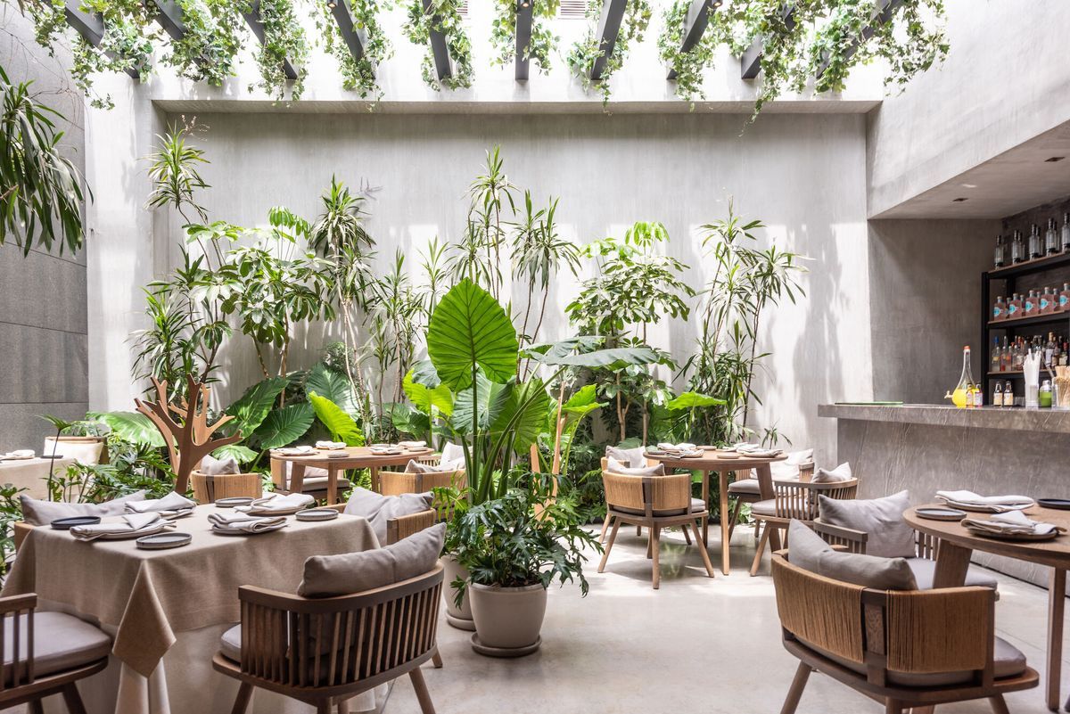 Xu hướng thị trường thiết kế quán cafe sân vườn 2025